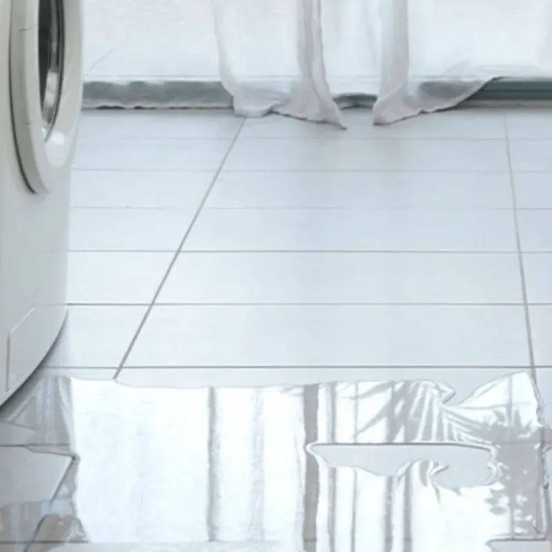 Appliance Leak Cleanup in San Marcos, CA