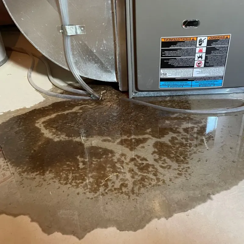 Pipe Burst and Leak Restoration in San Marcos, CA
